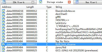创造“杀毒神兽” 从毒师到网络安全的技术转型